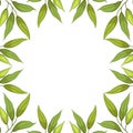 Vector background with tea leaves.